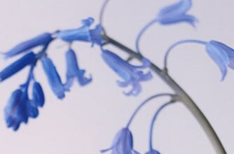 Startseite | Jo Malone London Europäische Union