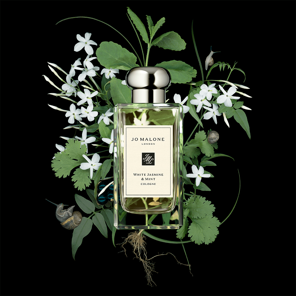 White Jasmine Mint Cologne