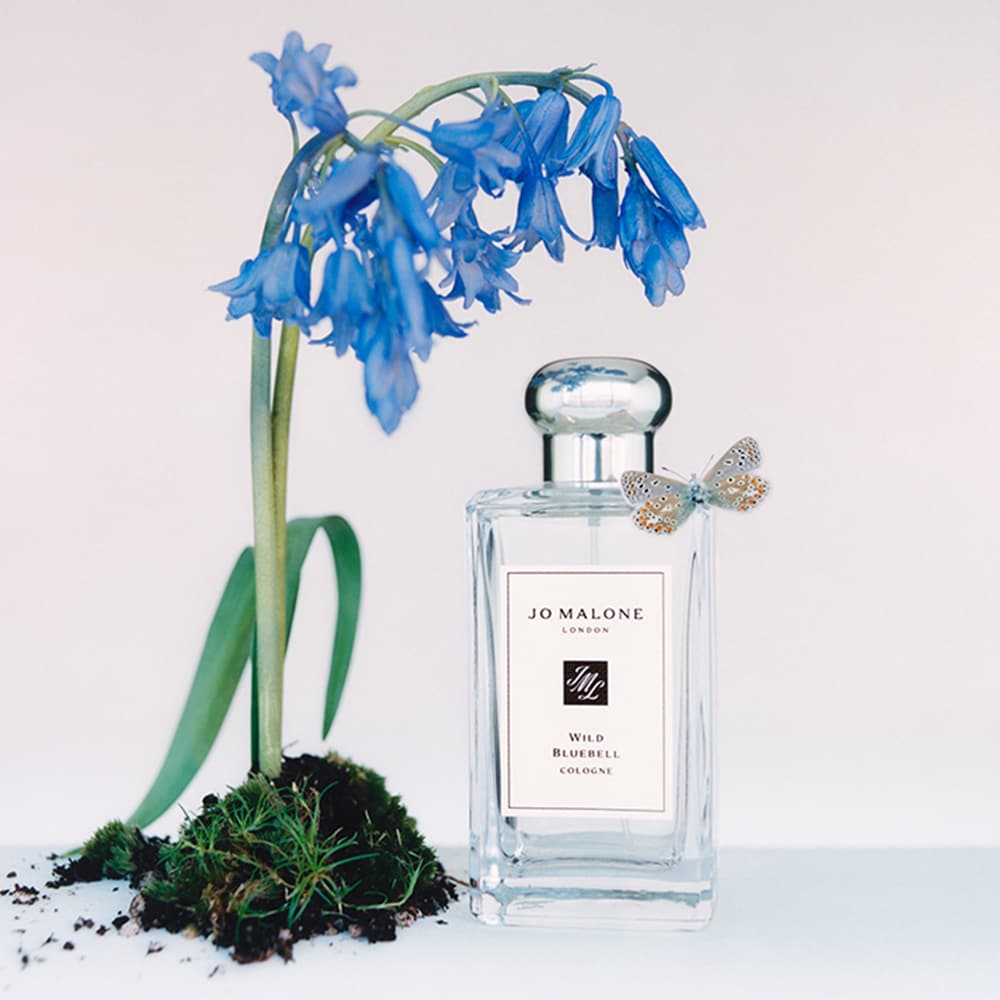 Wild Bluebell Cologne, Jo Malone London