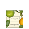 Lime Basil & Mandarin Seife