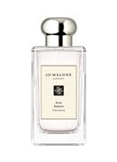 Red Roses Cologne