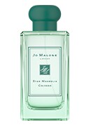 Star Magnolia Cologne