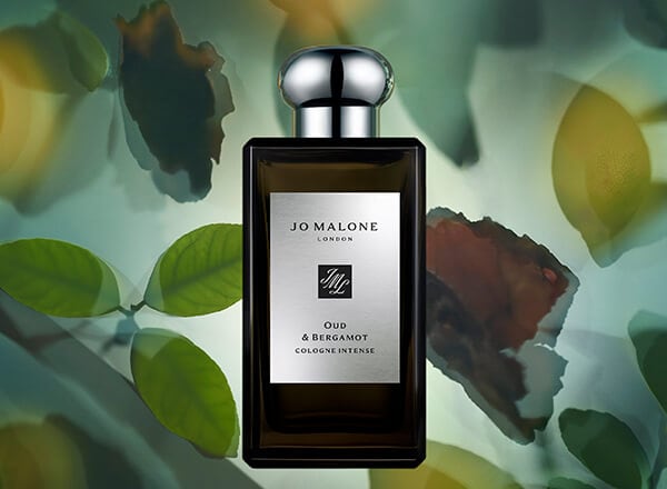 Oud and bergamot review new arrivals